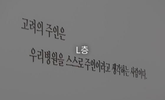 L층